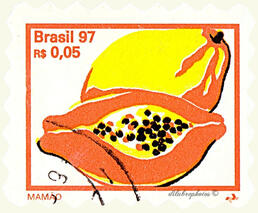 brasilian papaya stamp circa 1997